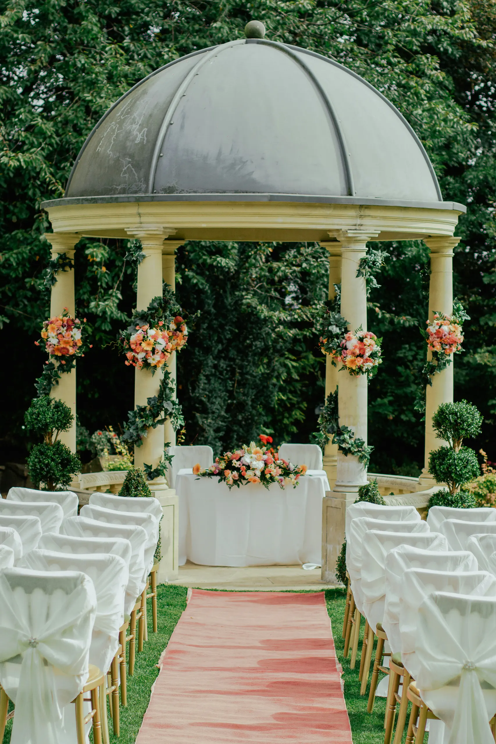 The garden